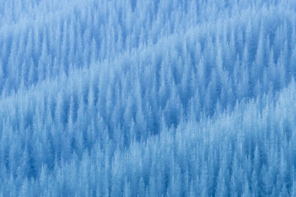 WinterS Pattern art print by Jingshu Zhu for $57.95 CAD
