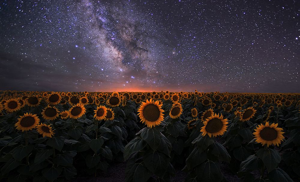 Dreamscape art print by Mei Xu for $57.95 CAD