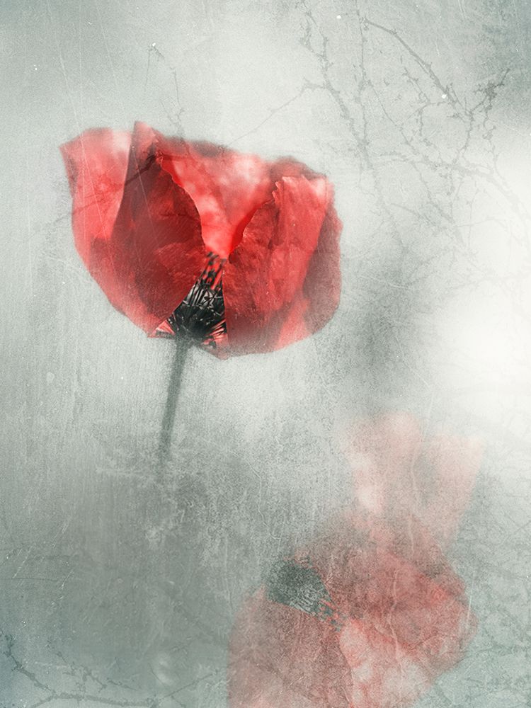 Untitled art print by Desislava Ignatova for $57.95 CAD