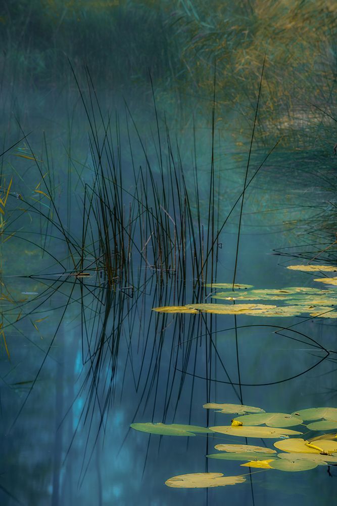 Aqua art print by Andreas Agazzi for $57.95 CAD