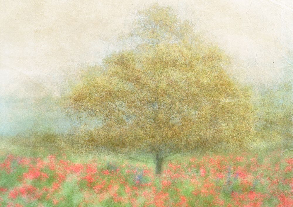 A Dream of Summer art print by Katarina Holmstrom for $57.95 CAD