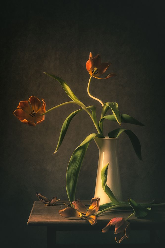 Wilted Tulips art print by Monique van Velzen for $57.95 CAD