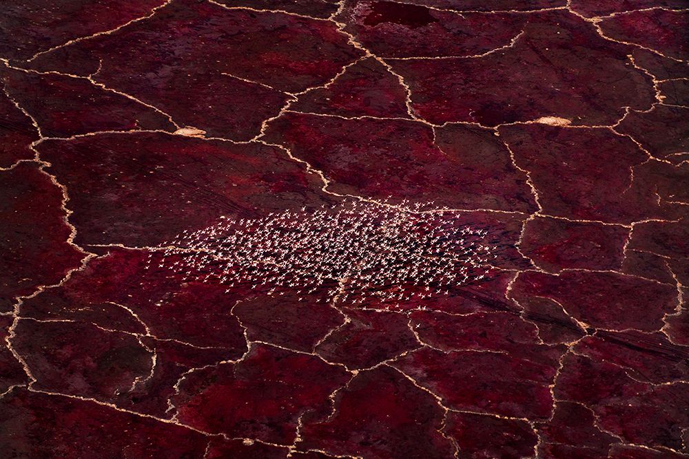 Red Planet art print by John Fan for $57.95 CAD