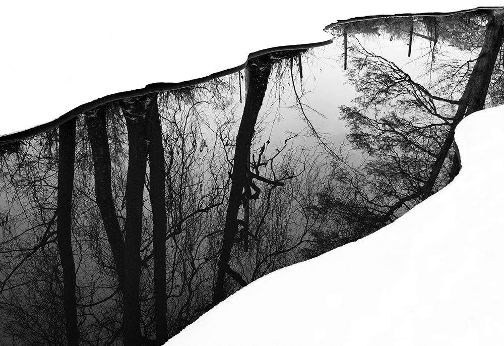 Riverside art print by Leif Westling for $57.95 CAD
