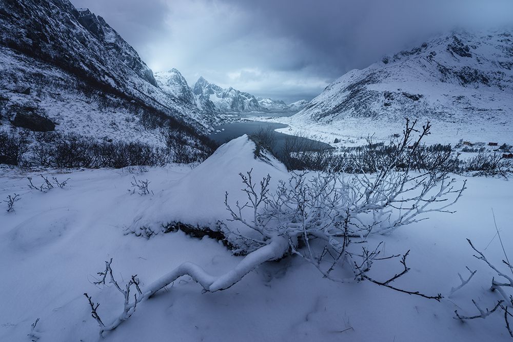 Winter Is Coming art print by David Martin Castan for $57.95 CAD