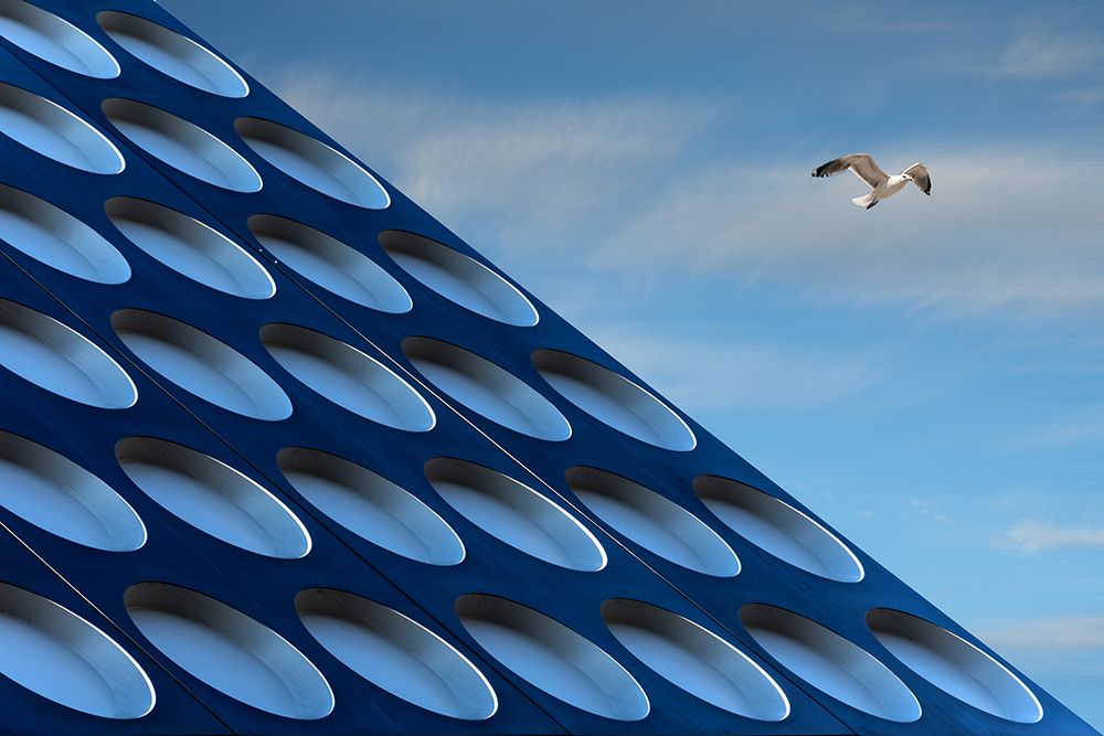 The Seagull art print by Henk van Maastricht for $57.95 CAD