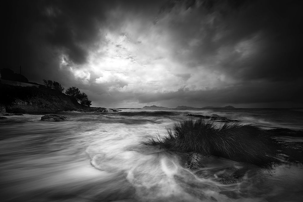 Rushes In The Sea art print by Santiago Pascual Buye for $57.95 CAD