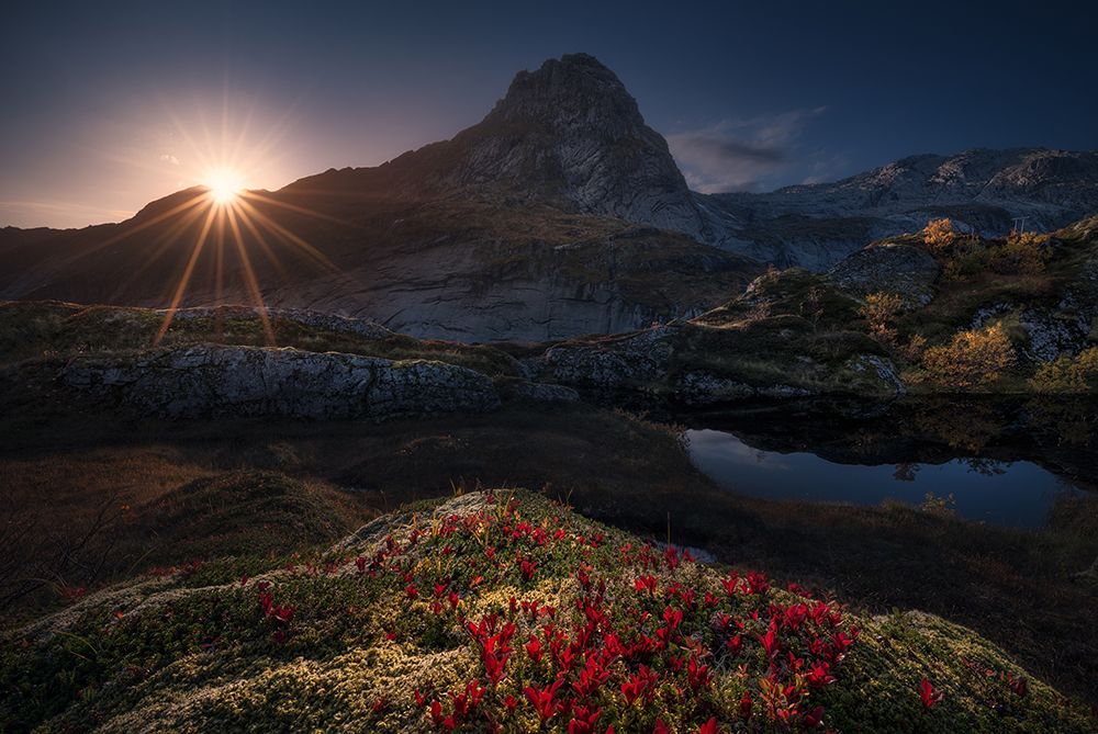 Lost Mountain art print by Carlos F. Turienzo for $57.95 CAD