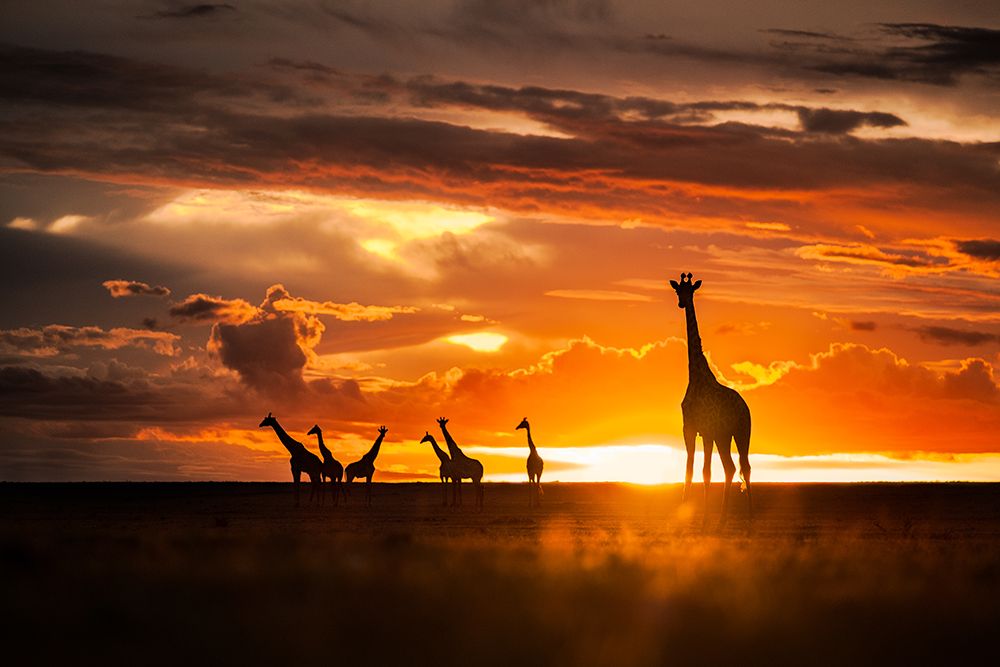 End Of The Day art print by Mohammad Mirza for $57.95 CAD