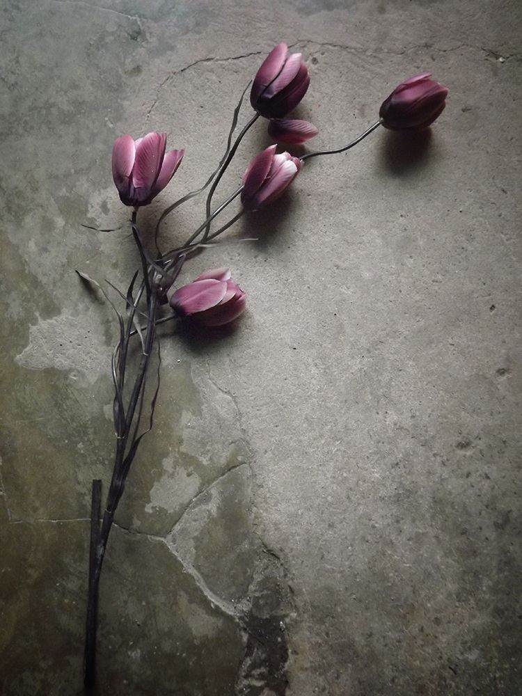The Elegant Tulip art print by Kahar Lagaa for $57.95 CAD