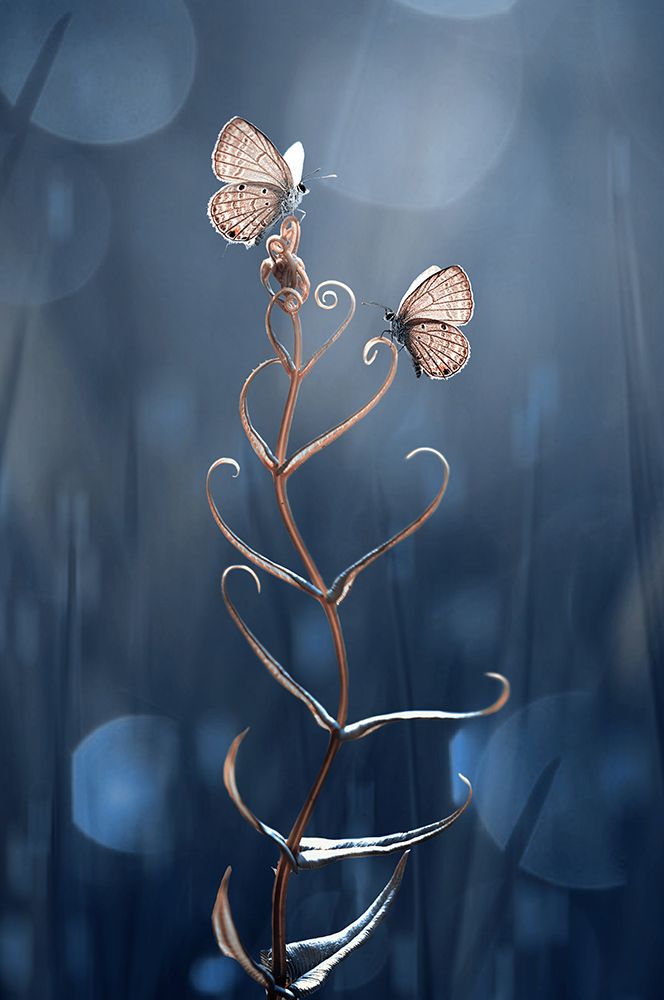 You And Me art print by Edy Pamungkas for $57.95 CAD