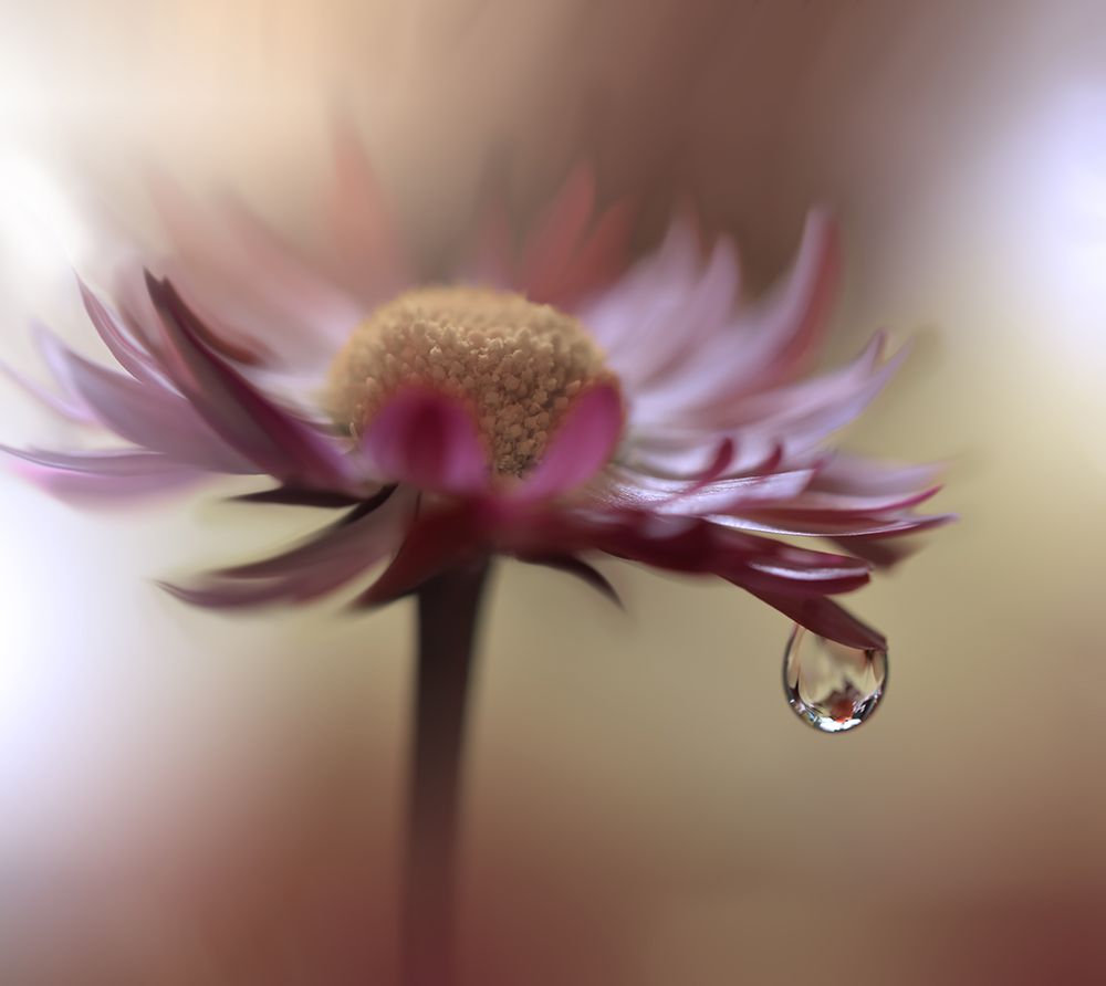 Tears Of Time.. art print by Juliana Nan for $57.95 CAD