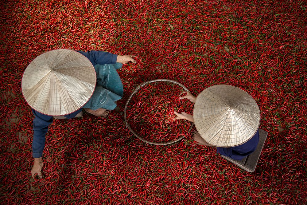 Chilli art print by Sarawut Intarob for $57.95 CAD
