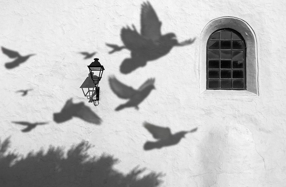 Shadows art print by Giorgio Pizzocaro for $57.95 CAD