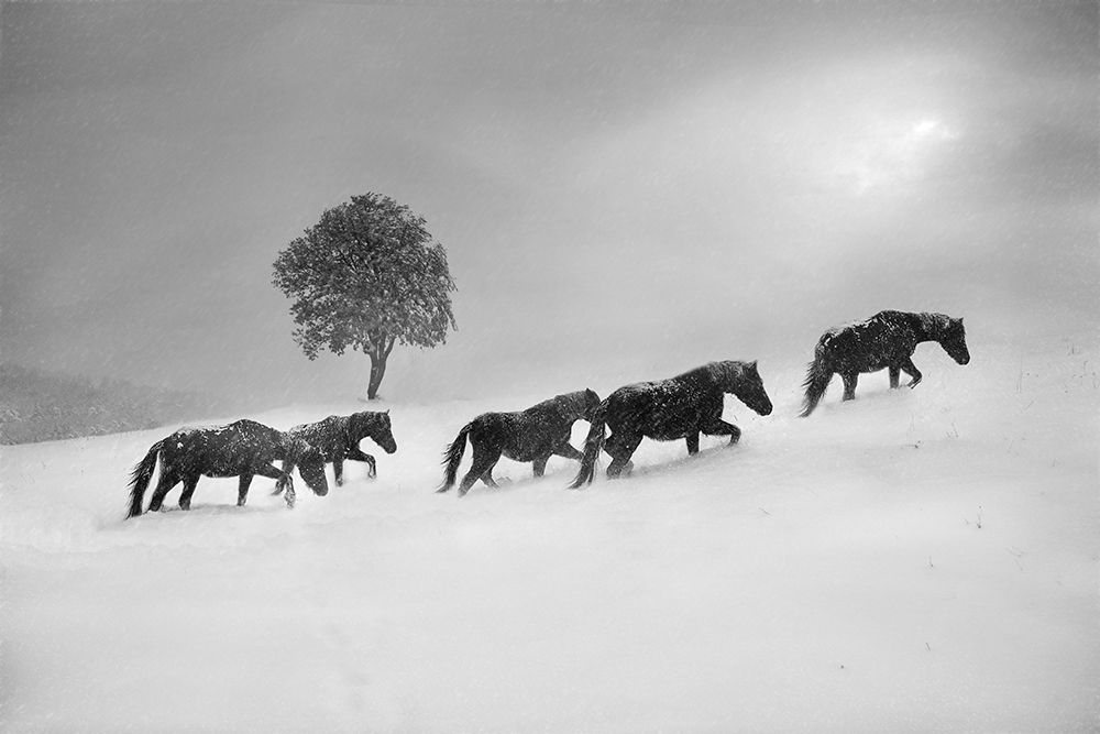 Untitled art print by Todor Tanev for $57.95 CAD