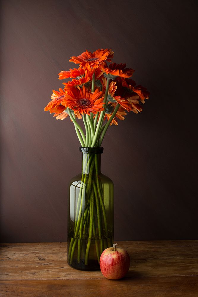 Gerberas art print by Luiz Laercio for $57.95 CAD