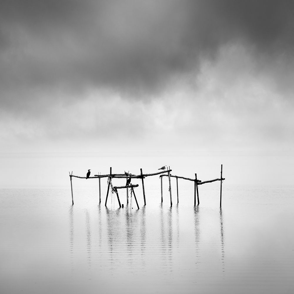 Axios Delta 007 art print by George Digalakis for $57.95 CAD