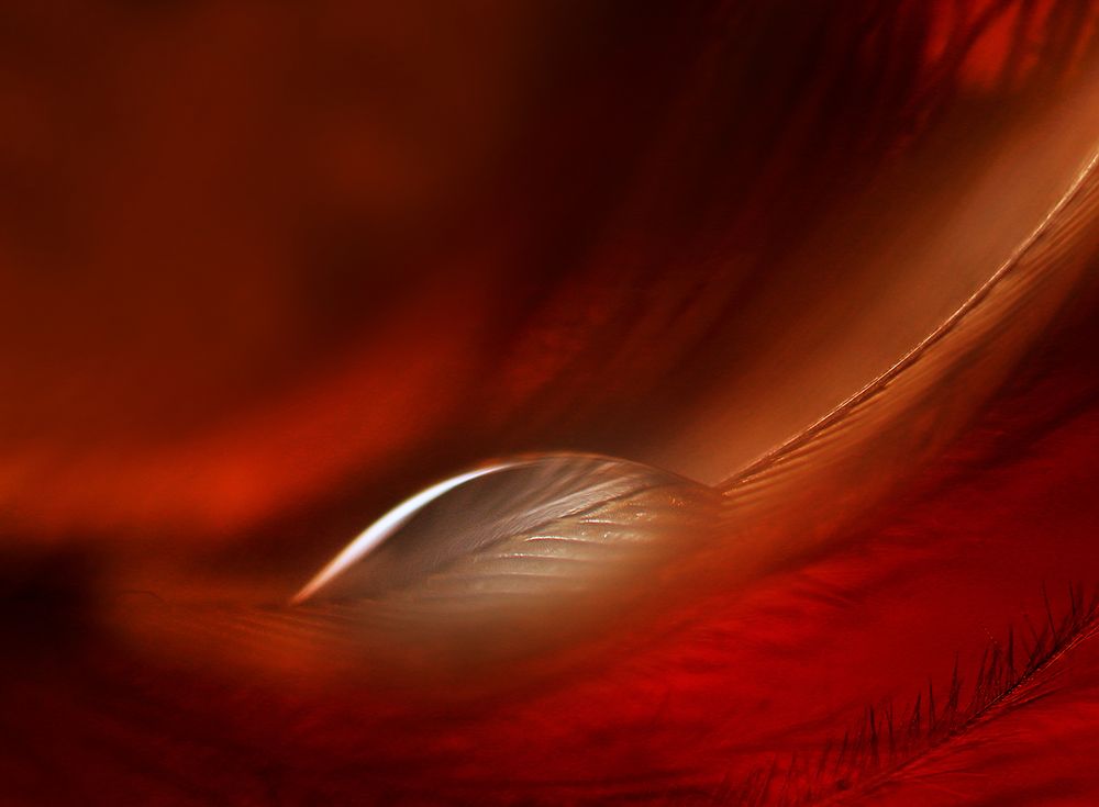 drop art print by Jutta Kerber for $57.95 CAD