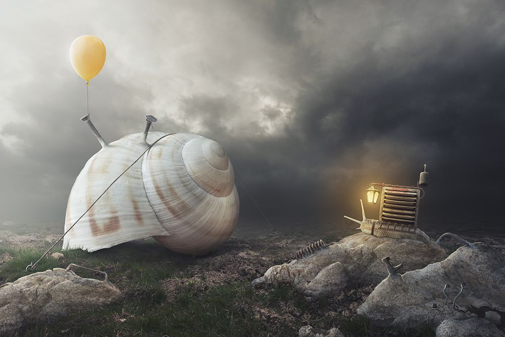 Return Back Home art print by Peter Cakovsky for $57.95 CAD
