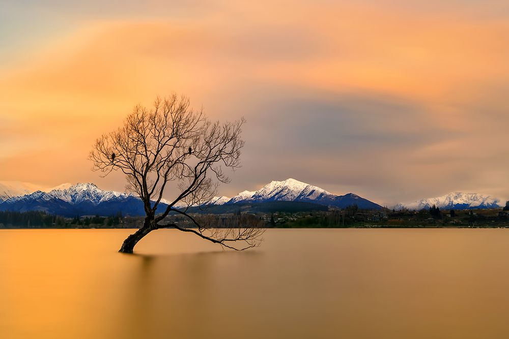 Morning Glow Of The Lake Wanaka art print by Hua Zhu for $57.95 CAD