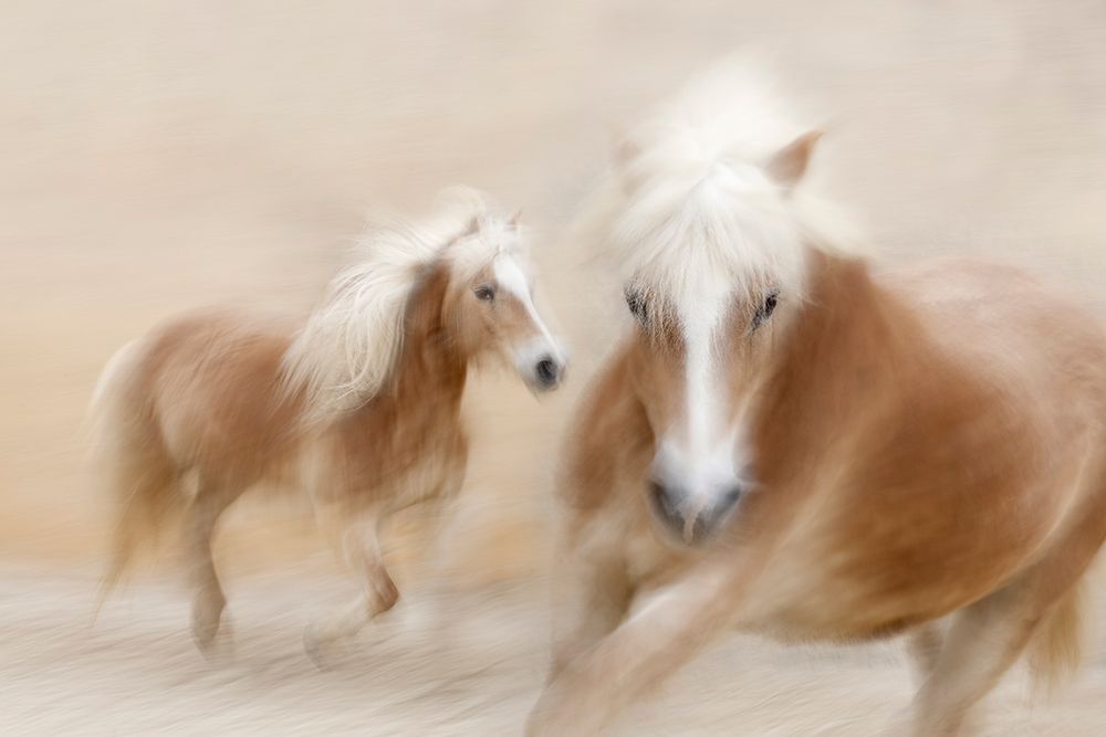 Direct Contact art print by Martine Benezech for $57.95 CAD