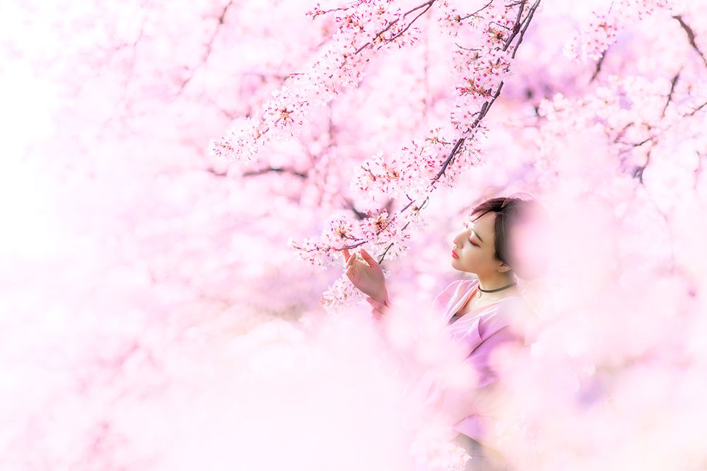 Sakura art print by Masatoshi Washimi for $57.95 CAD