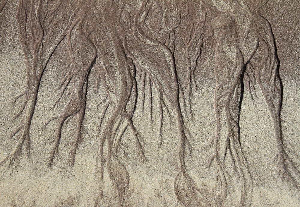 Low Tide art print by Bror Johansson for $57.95 CAD