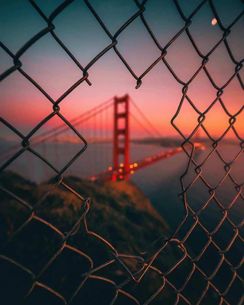 Golden Gate Caged art print by David George for $57.95 CAD