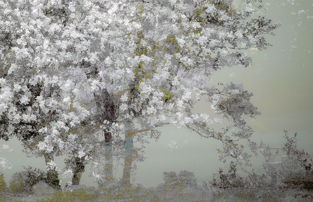 Spring art print by Nel Talen for $57.95 CAD