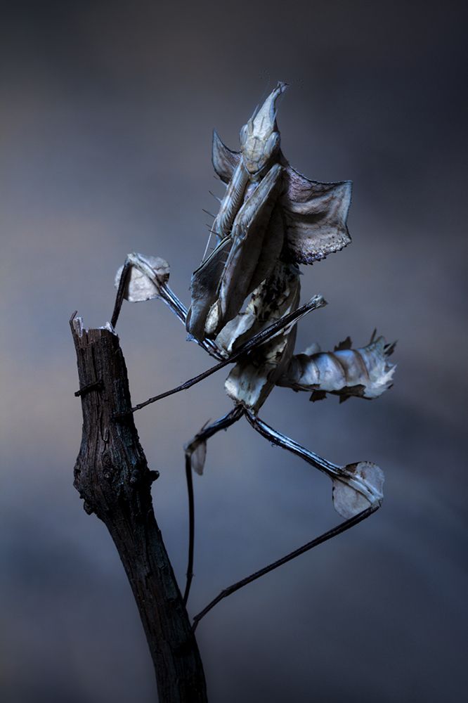 Creepy art print by Jimmy Hoffman for $57.95 CAD