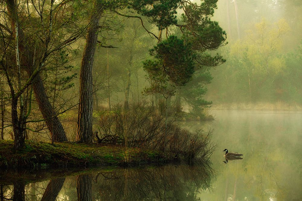 Mood Of Spring art print by Anton Van Dongen for $57.95 CAD