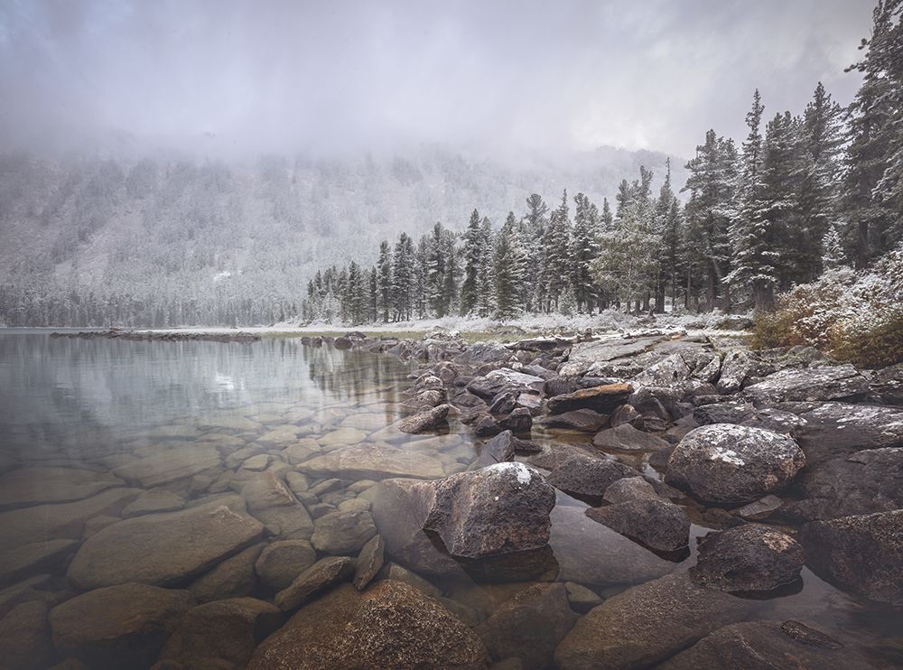 Winter art print by Rostovskiy Anton for $57.95 CAD