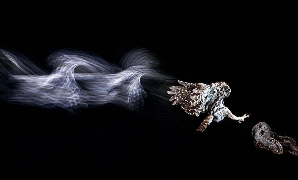 Back To The Future art print by Rodrigo Nunez Buj for $57.95 CAD