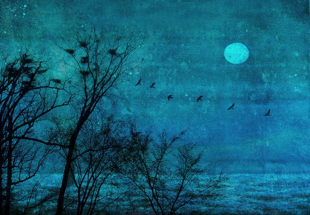Birds Of Passage art print by Delphine Devos for $57.95 CAD