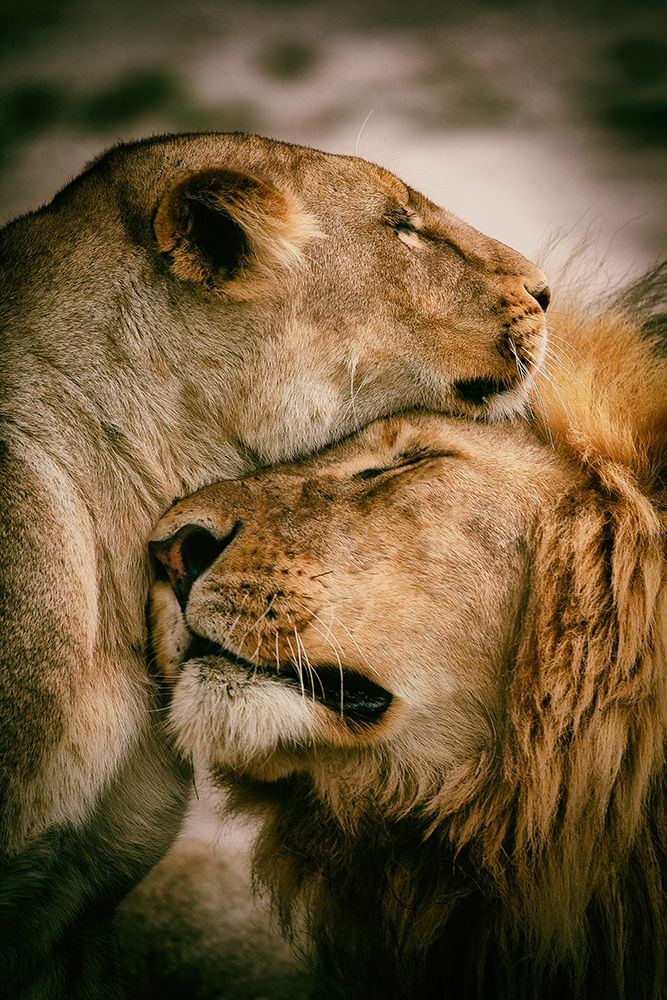 What Is Love art print by Mohammed Alnaser for $57.95 CAD