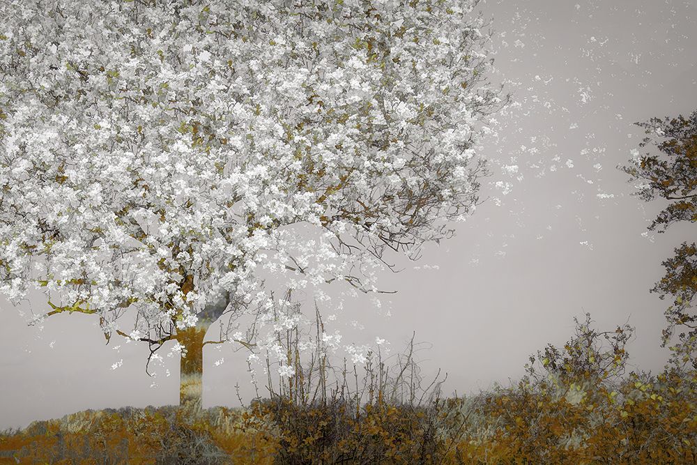 Fruit Tree art print by Nel Talen for $57.95 CAD