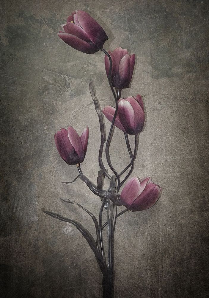 You Havent Seen The Last Of Me art print by Kahar Lagaa for $57.95 CAD