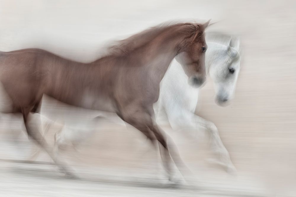 Romance art print by Martine Benezech for $57.95 CAD