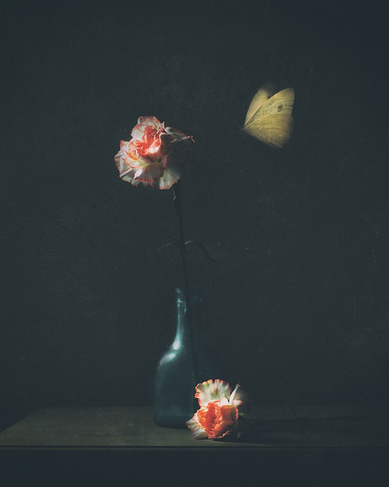 Dark Mood art print by Delphine Devos for $57.95 CAD