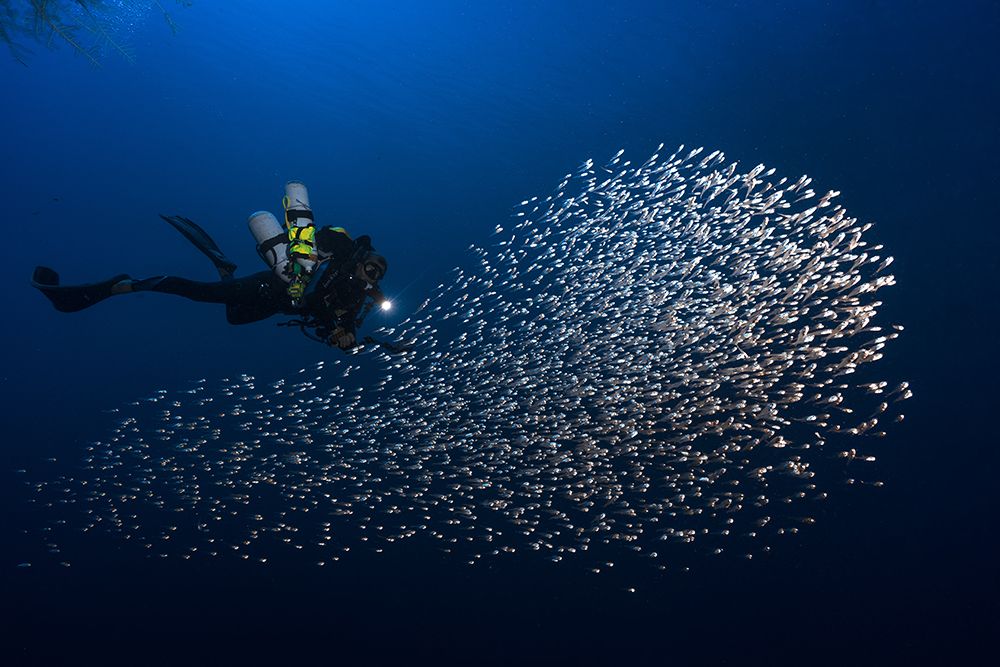 Alvin Shoal art print by Barathieu Gabriel for $57.95 CAD