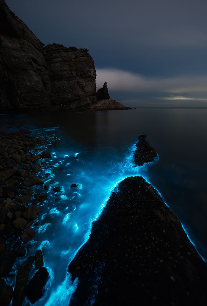 Fluorescent Sea art print by Shanyewuyu for $57.95 CAD