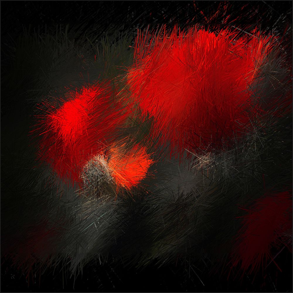 fireworks in nature art print by Gilbert Claes for $57.95 CAD