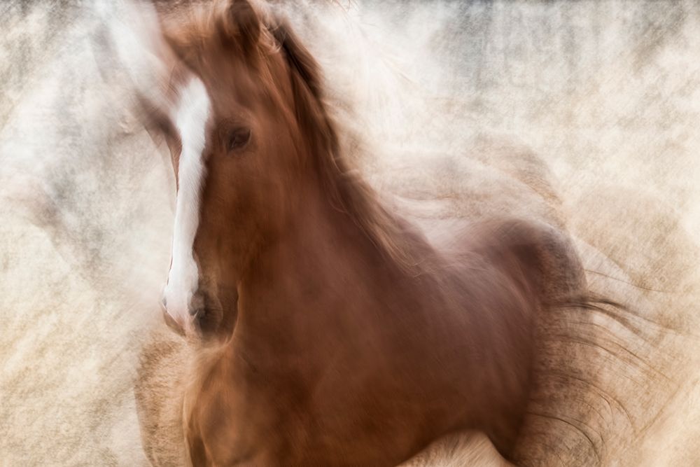 Pride art print by Martine Benezech for $57.95 CAD