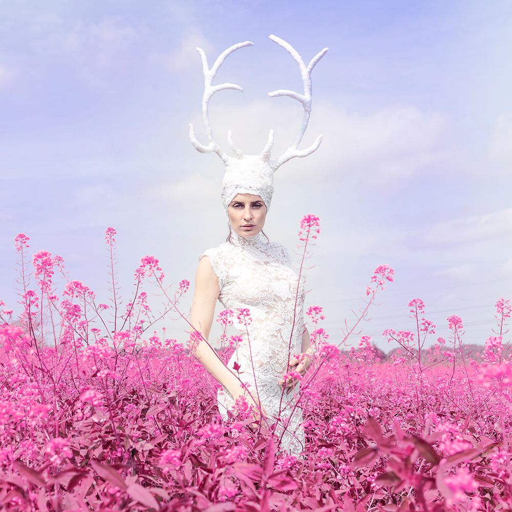Pink Lady art print by Mike Darzi for $57.95 CAD