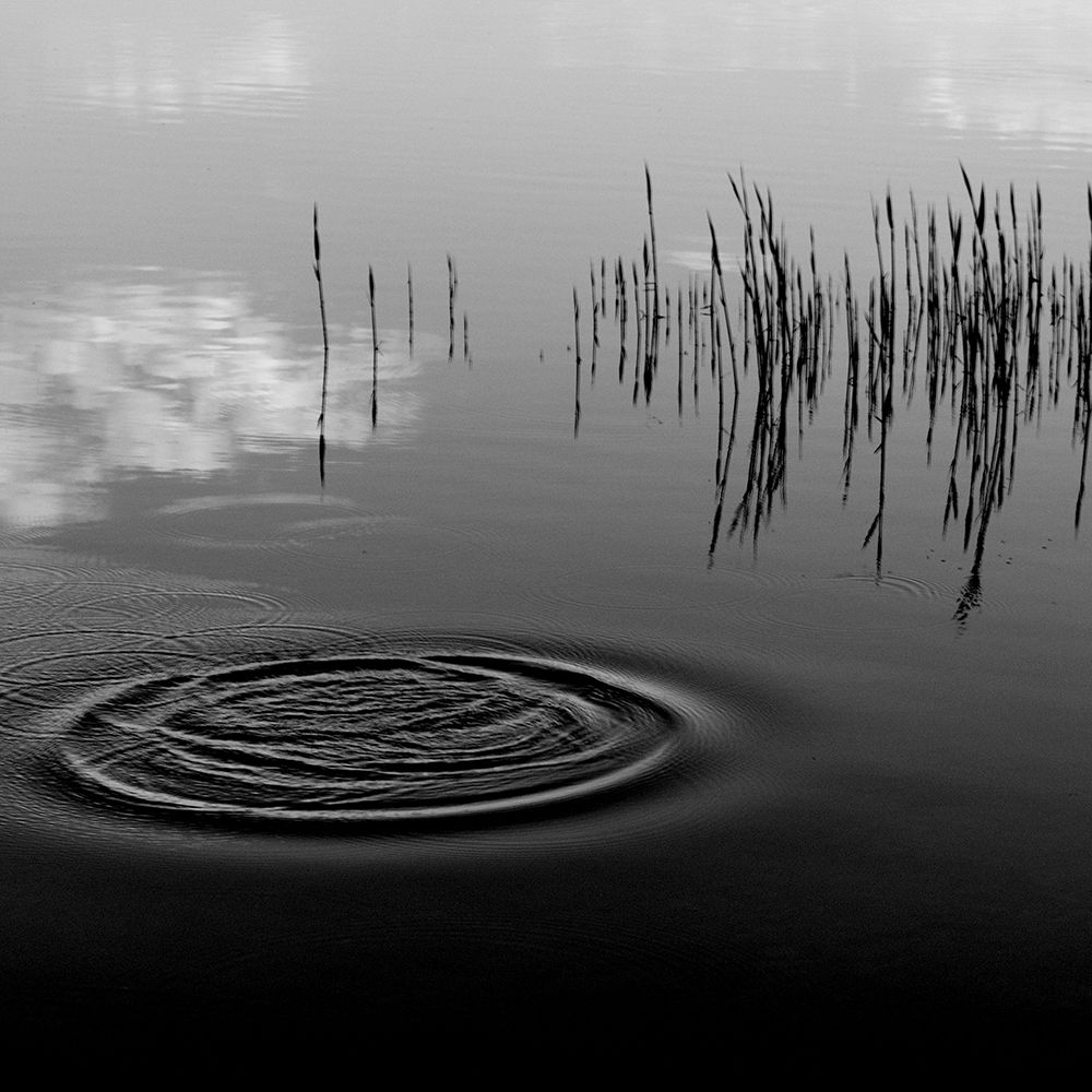 What Happened? art print by Poul-Erik Riis for $57.95 CAD