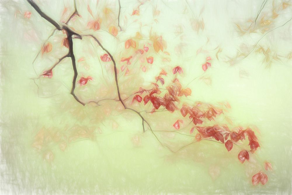 Luce Dorata art print by Gilbert Claes for $57.95 CAD