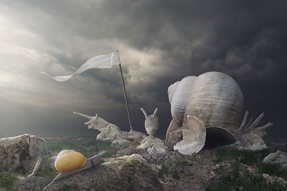 Temple Of Snail art print by Peter Cakovsky for $57.95 CAD