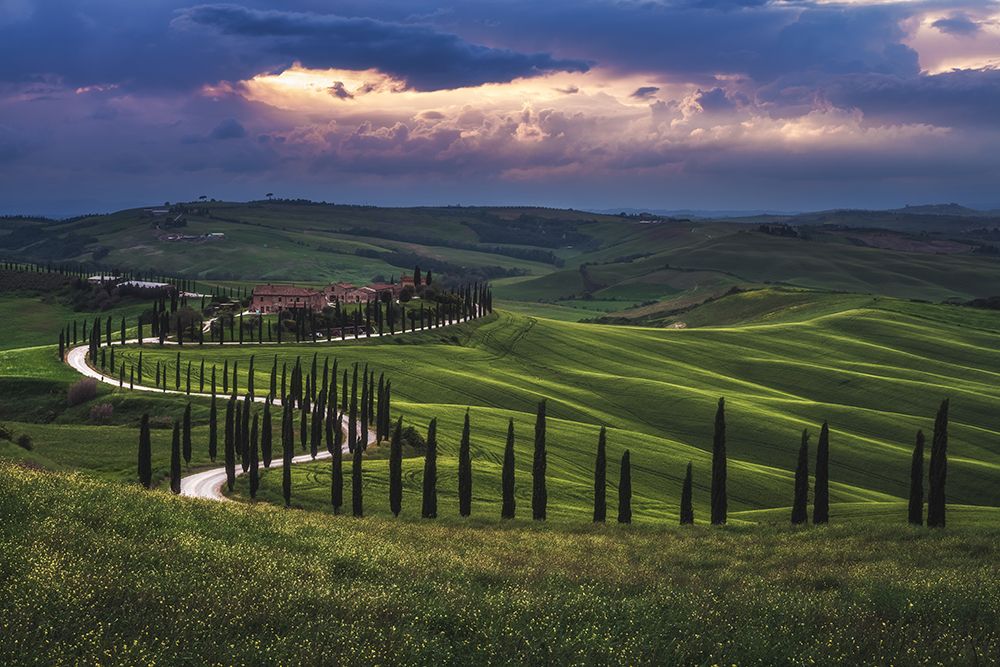 Tuscany - Crete Senesi art print by Jean Claude Castor for $57.95 CAD