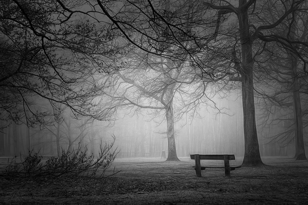 Frozen In Time art print by Saskia Dingemans for $57.95 CAD