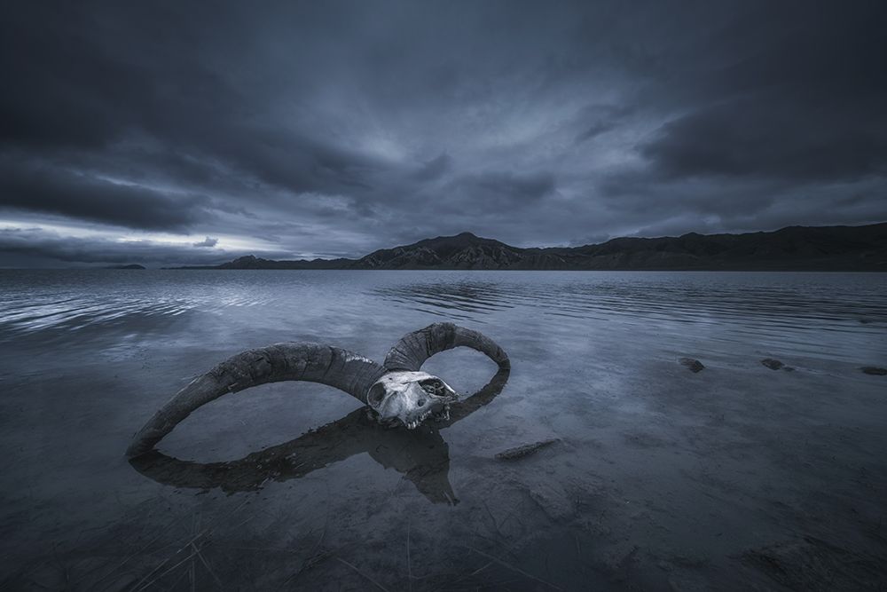 White Bone Beach art print by Tianqi for $57.95 CAD